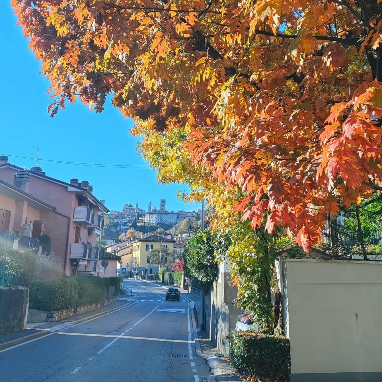 Nelly Bergamo Apartments Экстерьер фото
